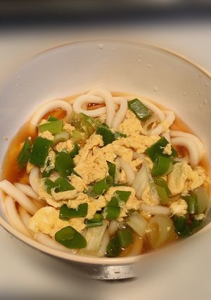 生姜とネギのうどん（風邪用）-レシピのメイン写真