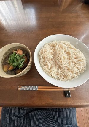 ナスのつけそう麺-レシピのメイン写真