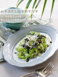 レタスとしらすのサラダ-レシピのメイン写真