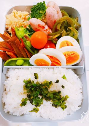 ピー弁当-レシピのメイン写真