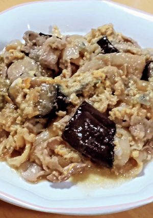 豚バラ肉と揚げなすの卵とじ魯肉-レシピのメイン写真