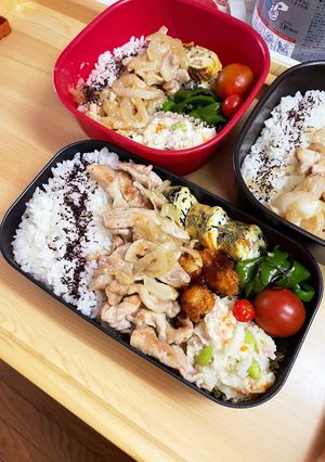 20240822息子っちのお弁当-レシピのメイン写真