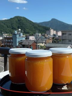 トロッとした梅ジャム リンゴ酢梅シロップ-レシピのメイン写真