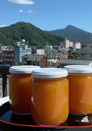 トロッとした梅ジャム　リンゴ酢梅シロップ-レシピのメイン写真