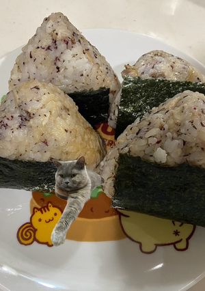 フリーダムおにぎり、焼き鯖おにぎり-レシピのメイン写真