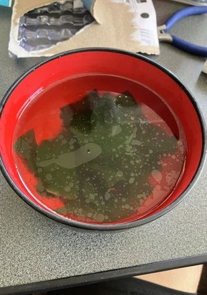 わかめスープ-レシピのメイン写真