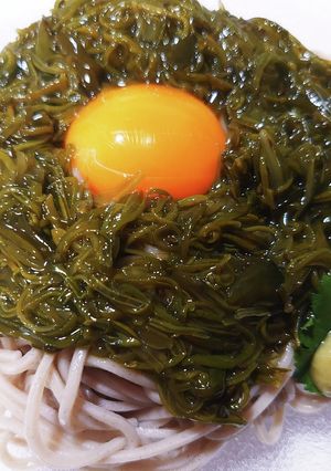簡単美味しい♫黄身のせ味付めかぶそば♫-レシピのメイン写真