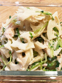 蓮根と豆苗のサラダ-レシピのメイン写真