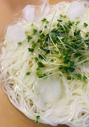 スプラウト添え●冷製素麺-レシピのメイン写真