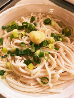白だし冷うどん-レシピのメイン写真