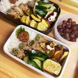 20240826娘ちゃん息子っちのお弁当