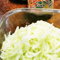 A picture of 塩ゆでキャベツ サラダ.