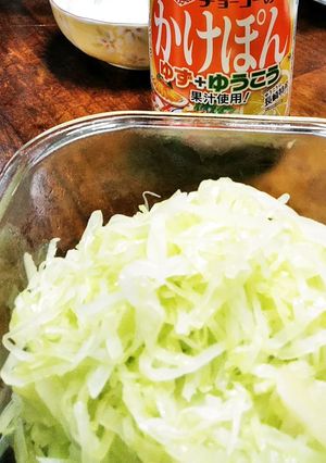 塩ゆでキャベツ サラダ-レシピのメイン写真
