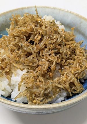 ゴマ油じゃこ御飯-レシピのメイン写真