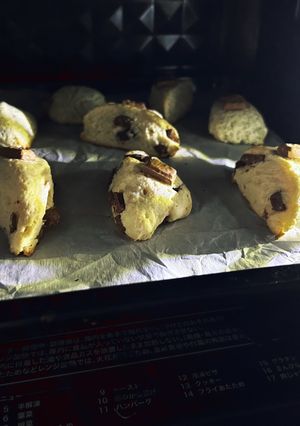 チョコスコーン-レシピのメイン写真