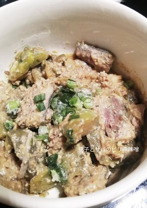 サバ缶と茄子のピリ辛味噌炒め-レシピのメイン写真