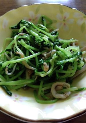 豆苗としらす-レシピのメイン写真