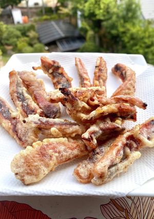 市販焼きイカの天ぷら-レシピのメイン写真