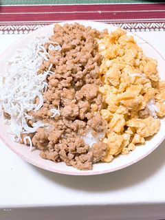 3色そぼろ丼-レシピのメイン写真