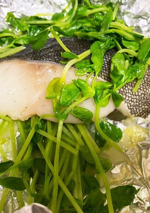 【ズボラ】タラと豆苗のバターホイル焼き-レシピのメイン写真