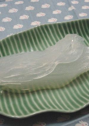 ところてん*押し出し方のコツ-レシピのメイン写真