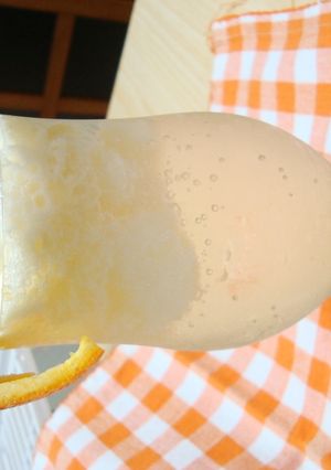 シトラス☆フローズンフロ－ト-レシピのメイン写真