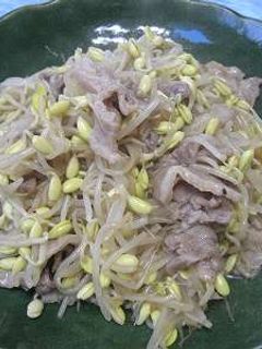 小大豆もやしと豚肉の炒め物-レシピのメイン写真