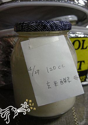 初めての玄米酵母-レシピのメイン写真