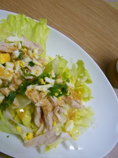 春の親子おにおんサラダ-レシピのメイン写真
