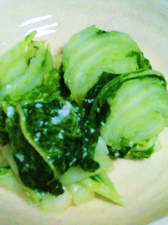 絶品☆3分で♪春白菜の358漬け物-レシピのメイン写真