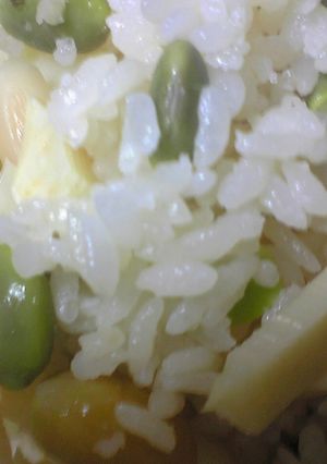 超簡単！枝豆とぎんなん入り★たけのこご飯-レシピのメイン写真