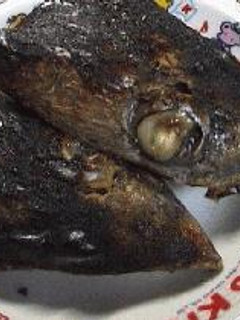 鮪の兜焼き-レシピのメイン写真