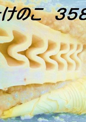 たけのこ漬け焼き✿358焼き-レシピのメイン写真