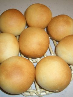 丸パン(基本の生地)-レシピのメイン写真