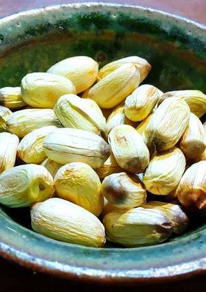 生の蓮の実　煎り蓮の実-レシピのメイン写真