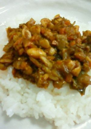 コリコリ大豆ドライカレー-レシピのメイン写真