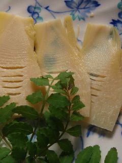 たけのこのお刺身♪-レシピのメイン写真