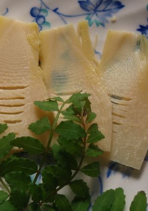 たけのこのお刺身♪-レシピのメイン写真