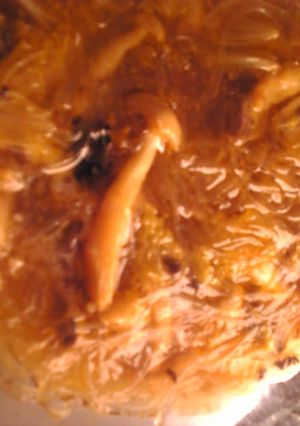 ブリのアラと白菜としめじのトマトスープ-レシピのメイン写真