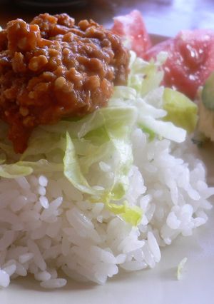 カレールウで作るドライカレー-レシピのメイン写真