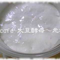 รูปของ 自家製☆大豆酵母－いきなり元種法－