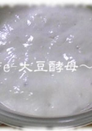 自家製☆大豆酵母－いきなり元種法－-レシピのメイン写真