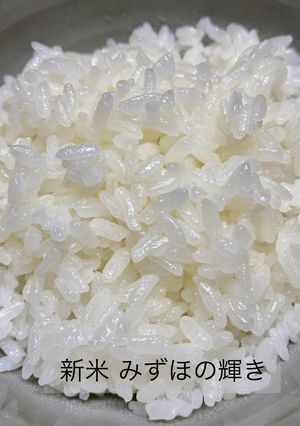 新米 みずほの輝き 米だけで美味しい-レシピのメイン写真