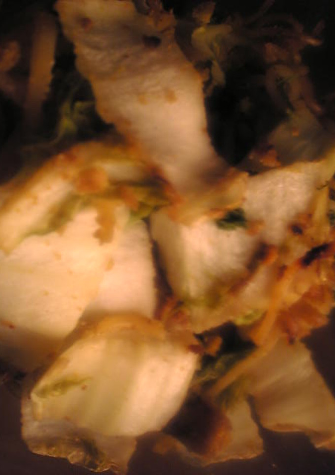 ブリの卵と白菜の焼きそば-レシピのメイン写真