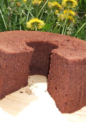 チョコシフォン（１８ｃｍ）-レシピのメイン写真