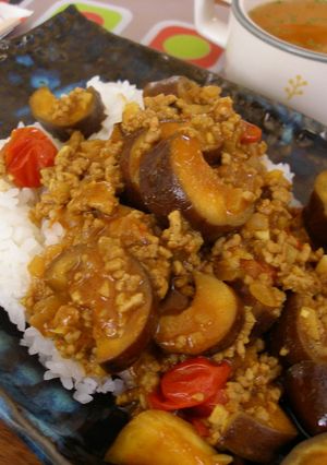 ナスのドライカレー-レシピのメイン写真