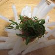 大根の梅ぇシソサラダ