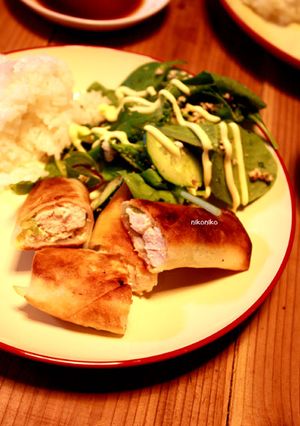 ササミのネギマヨ春巻き-レシピのメイン写真