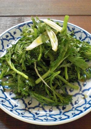 生でたべる春菊のサラダ-レシピのメイン写真