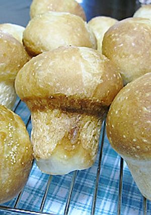 きのこパン-レシピのメイン写真